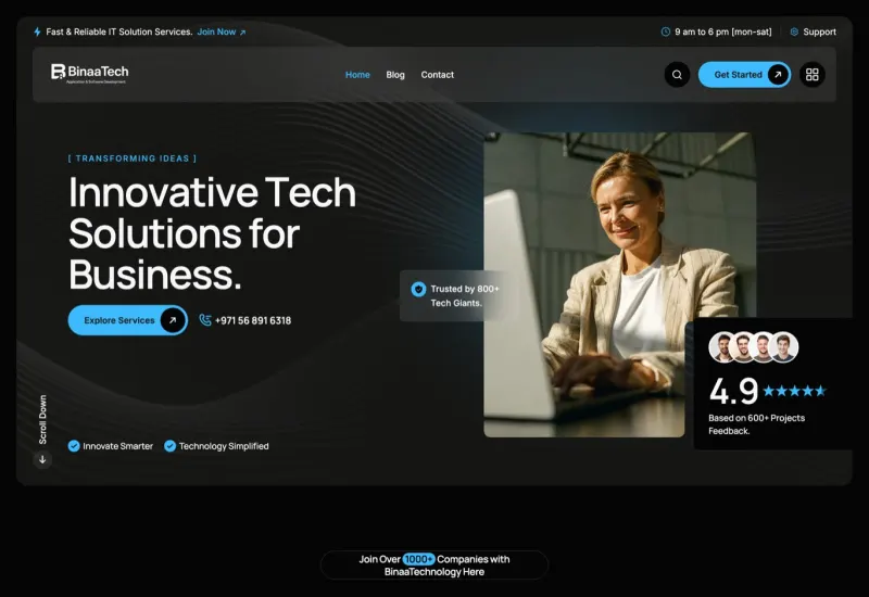 Binaatech website preview
